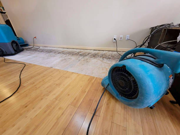 Professional Water Damage Repair technician working in Alliance, NC